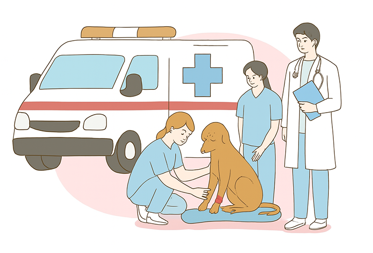 Vet receiving report